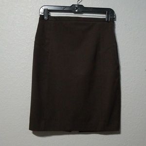 Express Pencil Skirt